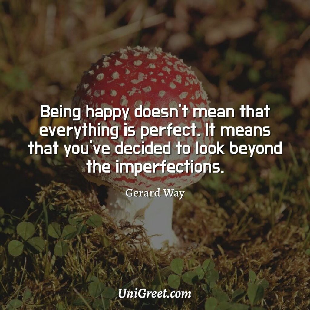 Being happy doesn't mean that everything is perfect. It means that you've decided to look beyond the imperfections.